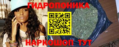 стафф Будённовск