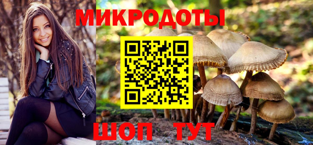 Псилоцибиновые грибы Cubensis Саров